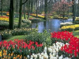 Spring Into Alignment All Aspect of Your Life